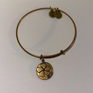 Alex & Ani bracelet